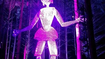 The Enchanted Forest