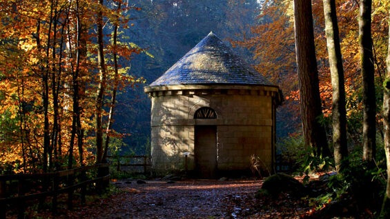 The Hermitage & Big Tree Country