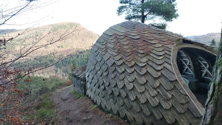 Pine Cone View Point